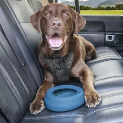 Splash Free Wander Water Blue Bowl