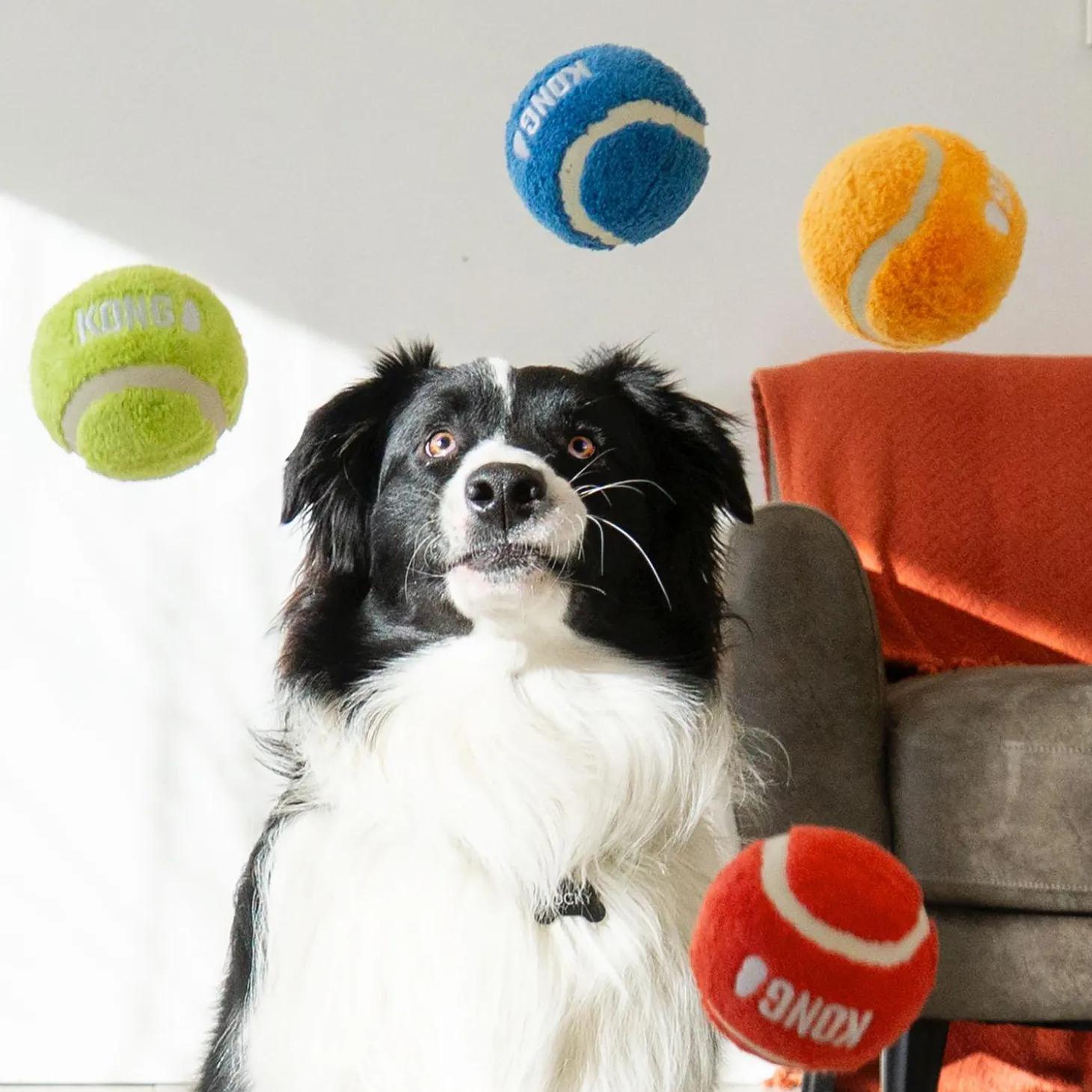 Sport Softies Balls Dog Toys