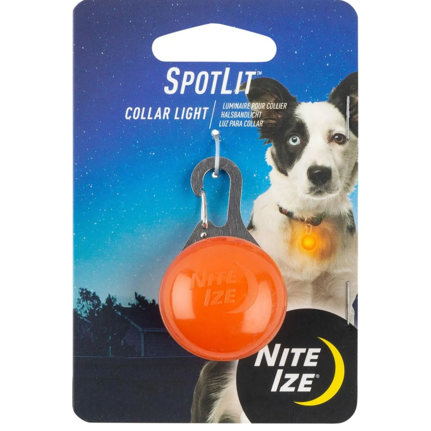 SpotLit LED Assorted Colours