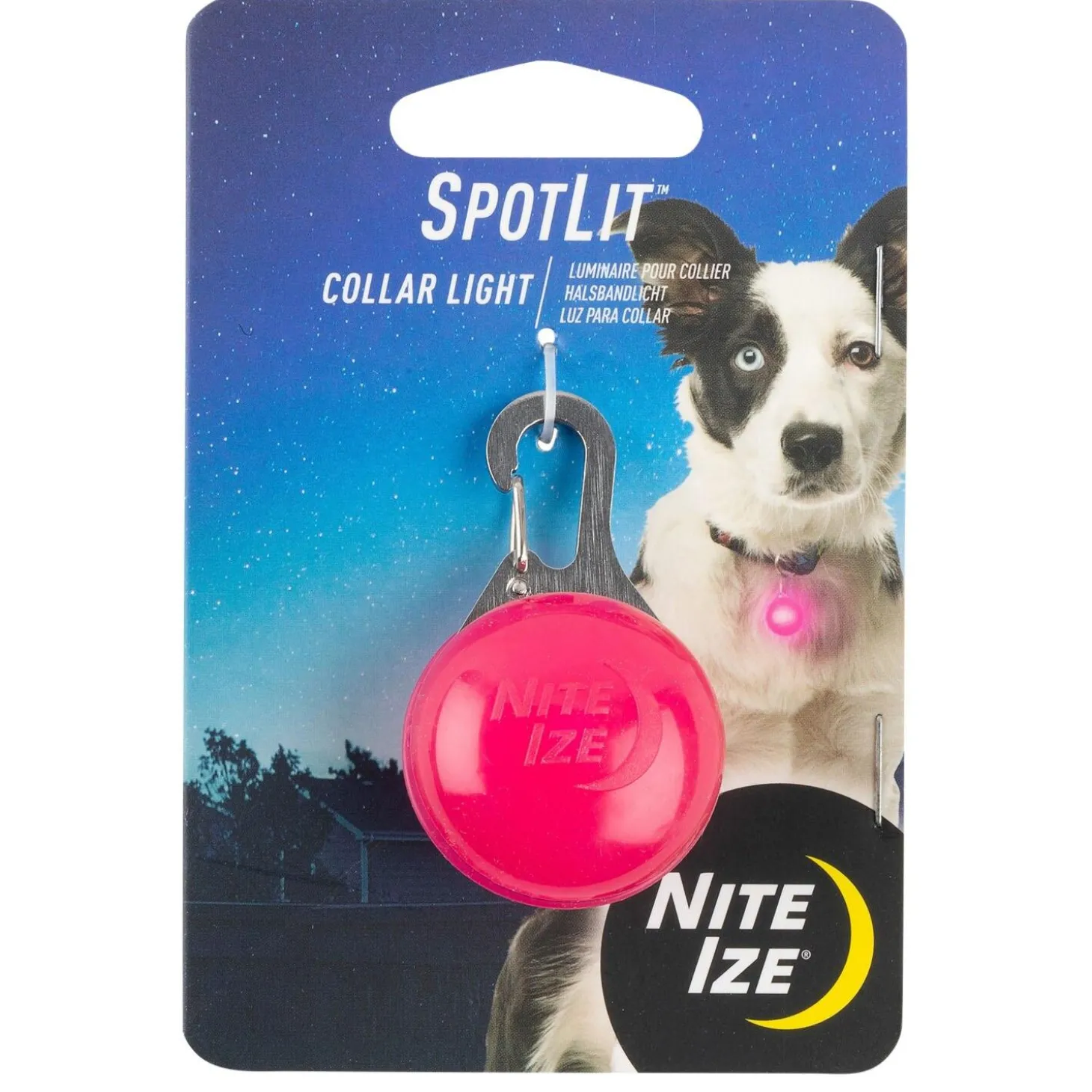 SpotLit LED Assorted Colours