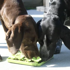 Spring Clover Green Foraging Mat