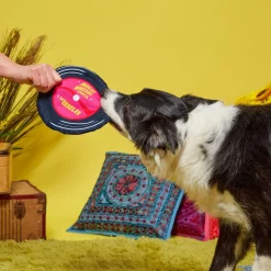 Sqeakadelic Tune Dog Toy