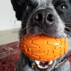 Squeaker Football - Orange