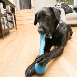 SqueakStix Assorted Colours Dog Toy