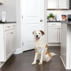 SSSCAT Automatic Spray Pet Deterrent