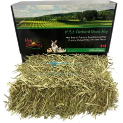 1st Cut Orchard Grass Hay Mini Bale Small Animal Hay