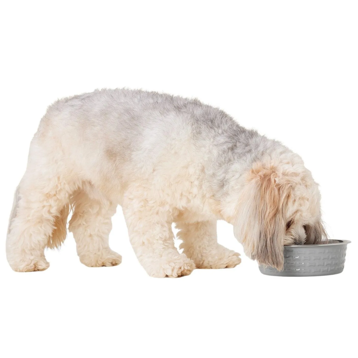 Stainless Steel White Dog Bowl