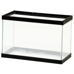 Standard Glass Rectangle Silicone Black Aquarium