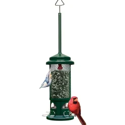 Standard Wild Birdfeeder