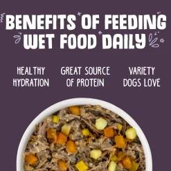 Steak Frites with Beef, Pumpkin & Sweet Potato Dog Food