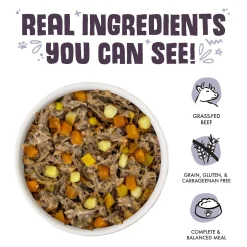 Steak Frites with Beef, Pumpkin & Sweet Potato Dog Food