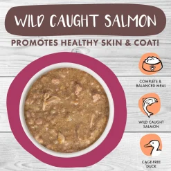 Stew! Stewlander Duck & Salmon Dinner Cat Food