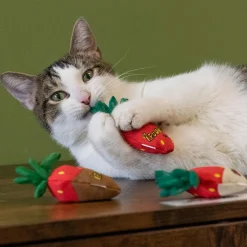 Strawberries Catnip Cat Toys