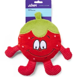 Strawberry Dog Toy