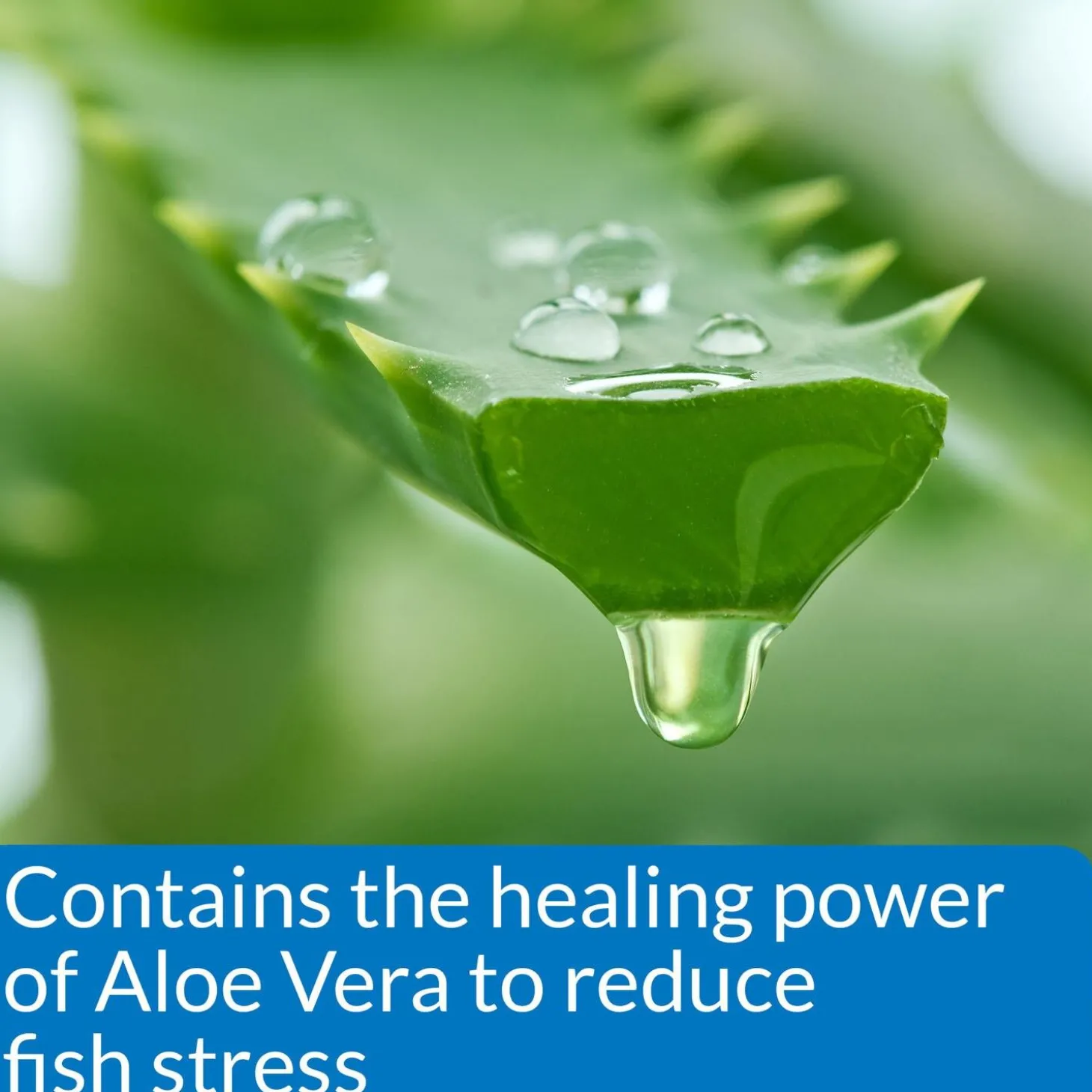 Stress Coat Aquarium Water Conditioner