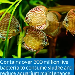 Stress Zyme Freshwater and Saltwater Aquarium Cleaning Solution