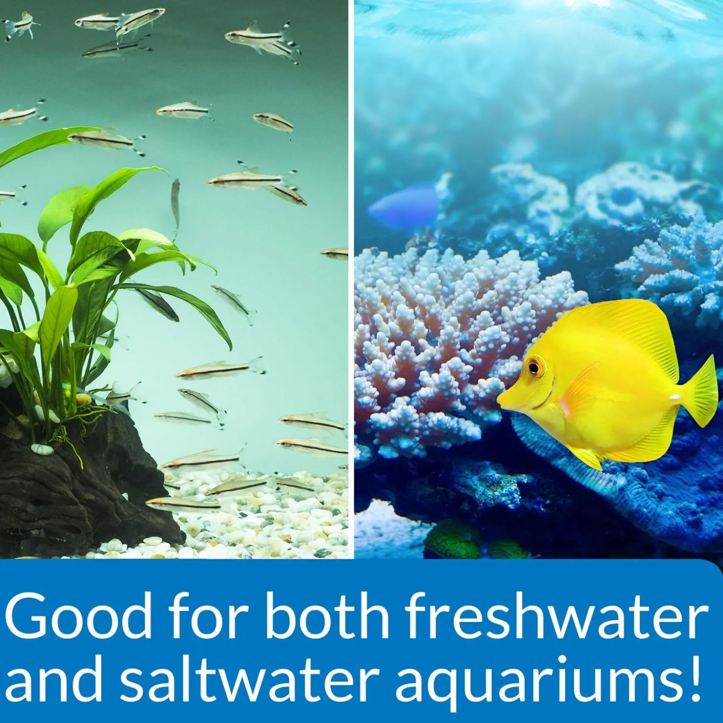 Stress Zyme Freshwater and Saltwater Aquarium Cleaning Solution