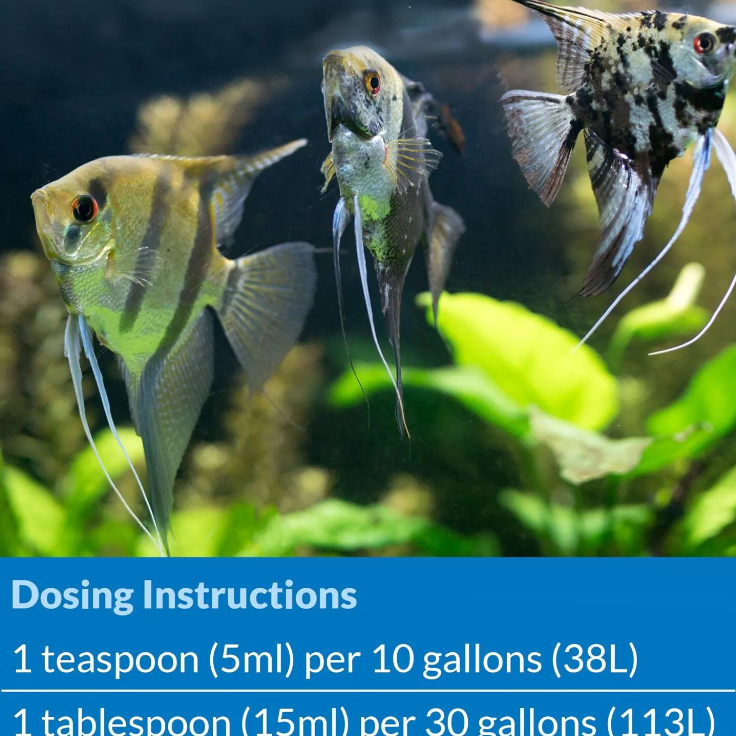 Stress Zyme Freshwater and Saltwater Aquarium Cleaning Solution