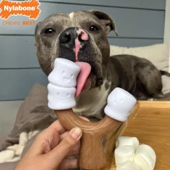 Strong Chew Toasted Marshmallow & Peanut Butter Flavour Stick Dog Toy