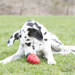 Stuff'N Real Peanut Butter Dog Treat