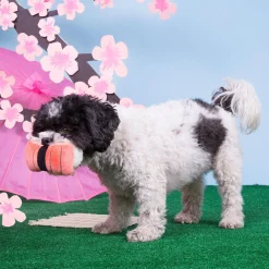 Super Tasty Tuna Sushi Dog Toy