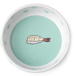 Sushi Bowl Teal & White