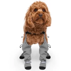 Suspender Long Grey Dog Boots