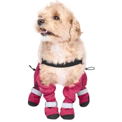 Suspender Long Pink Dog Boots