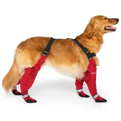 Suspender Long Red Dog Boots