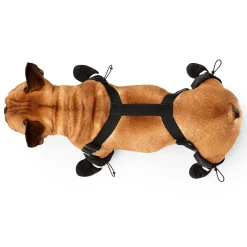 Suspender Short Black Boots