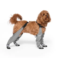 Suspender Short Grey Dog Boots