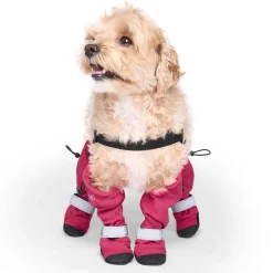 Suspender Short Pink Dog Boots