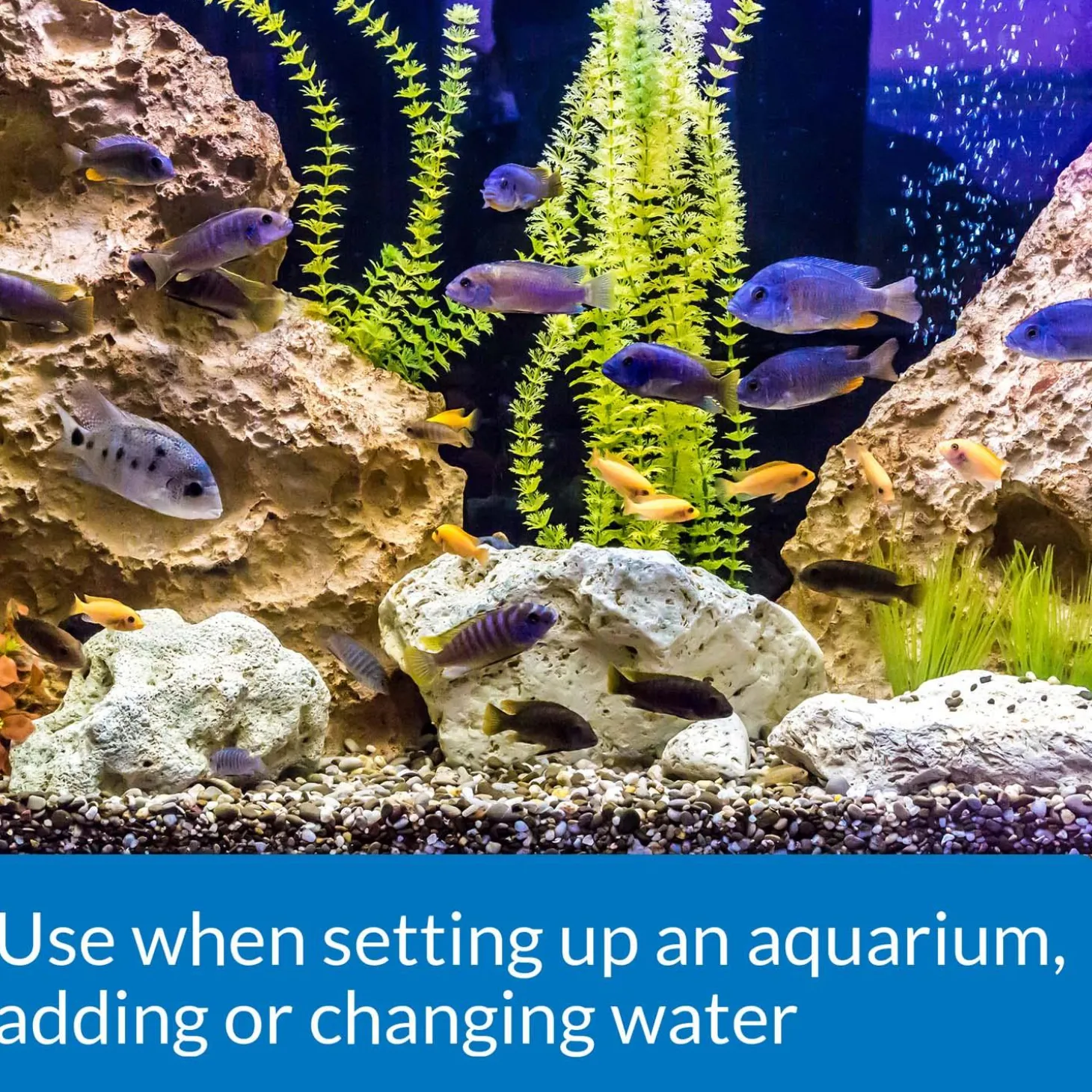 Tap Water Conditioner