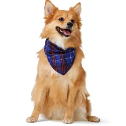 Tartan Bandana