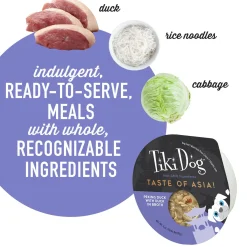 Taste of the World Asia Peking Duck Recipe in Broth Adult Dog Food