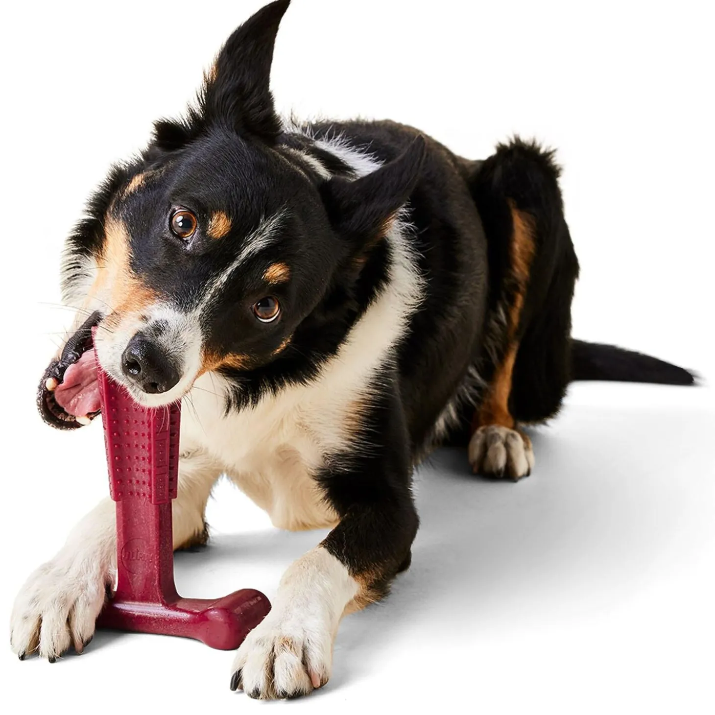 T-Bone Bacon Chew Dog Toy