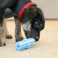 Teething Stick Assorted Colours Puppy Dog Toy