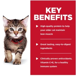 Tender Chicken Dinner in Gravy Kitten Cat Food