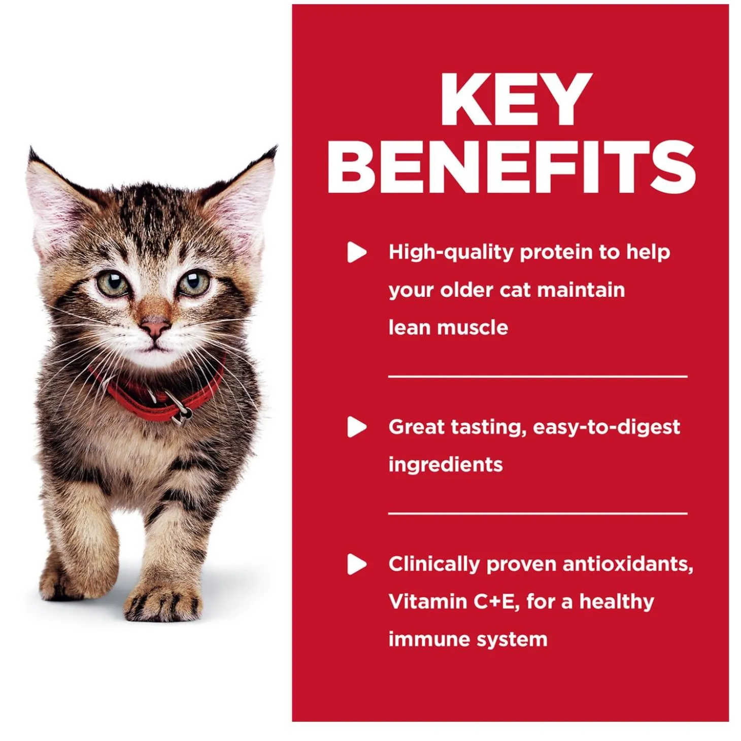 Tender Chicken Dinner in Gravy Kitten Cat Food