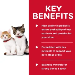 Tender Chicken Dinner Kitten Cat Food