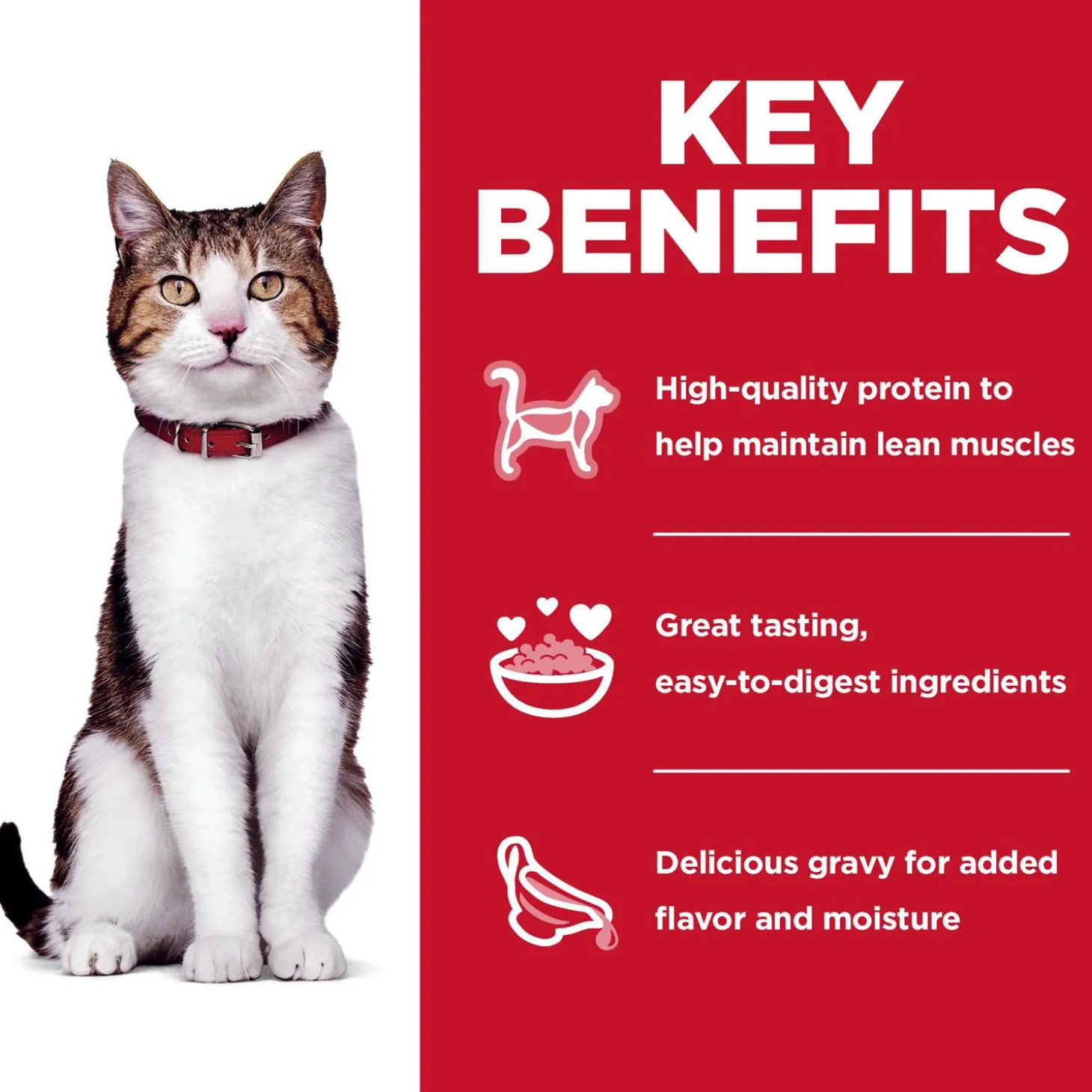 Tender Dinner Variety Pack Adult 7+ Cat Food