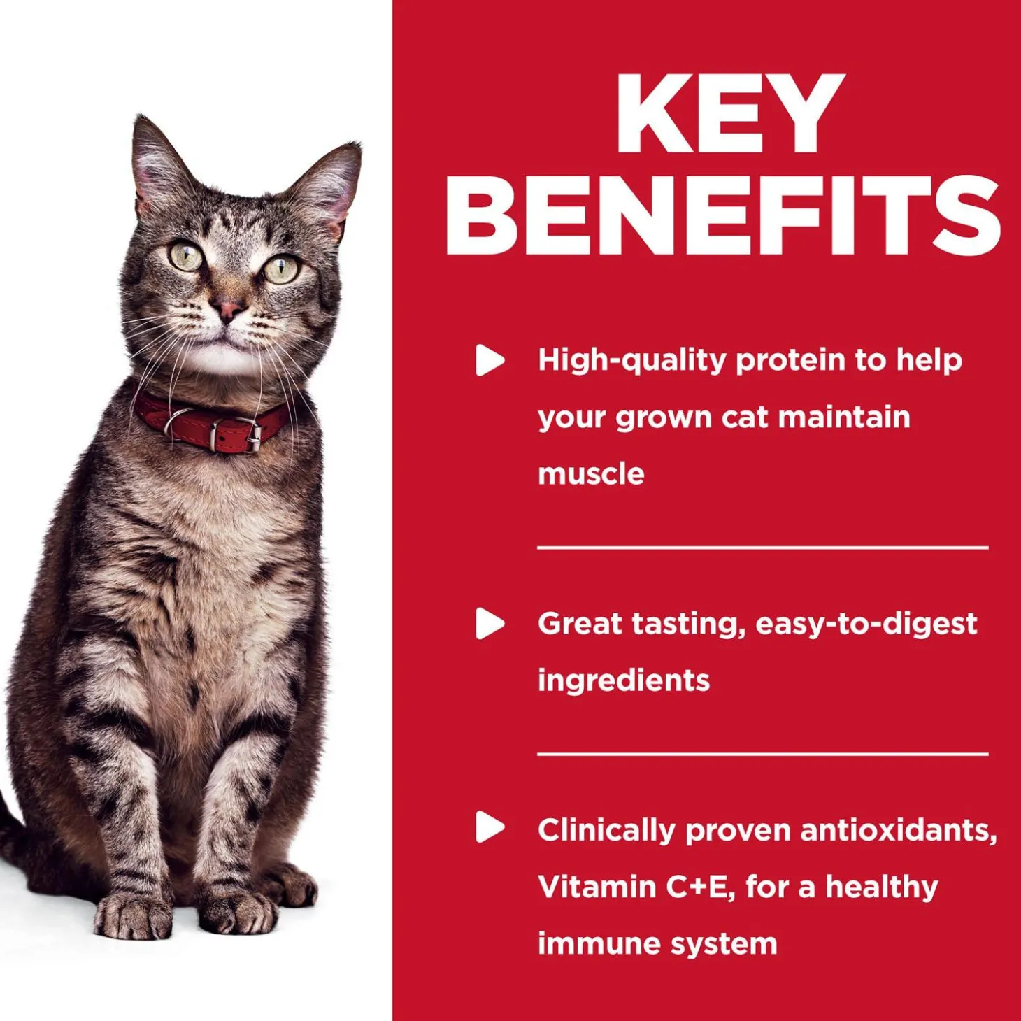 Tender Tuna Dinner in Gravy Adult Cat Food