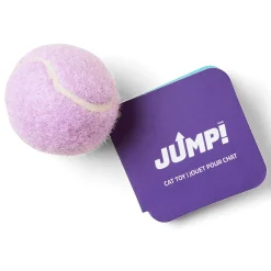 Tennis Ball Assorted Colours Cat Toy