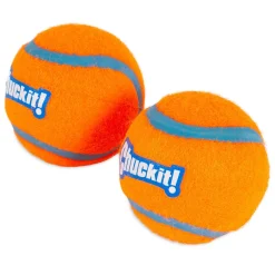 Tennis Balls 2 Pack Dog Toys