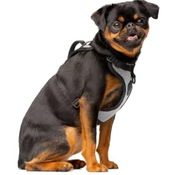 The Everything Mesh Dog Harness Reflective