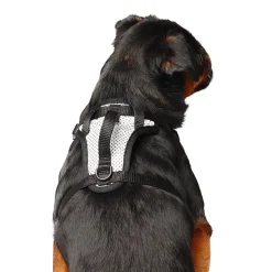 The Everything Mesh Dog Harness Reflective