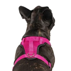 The Everything Mesh Dog Harness Pink