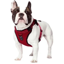 The Everything Mesh Harness Red