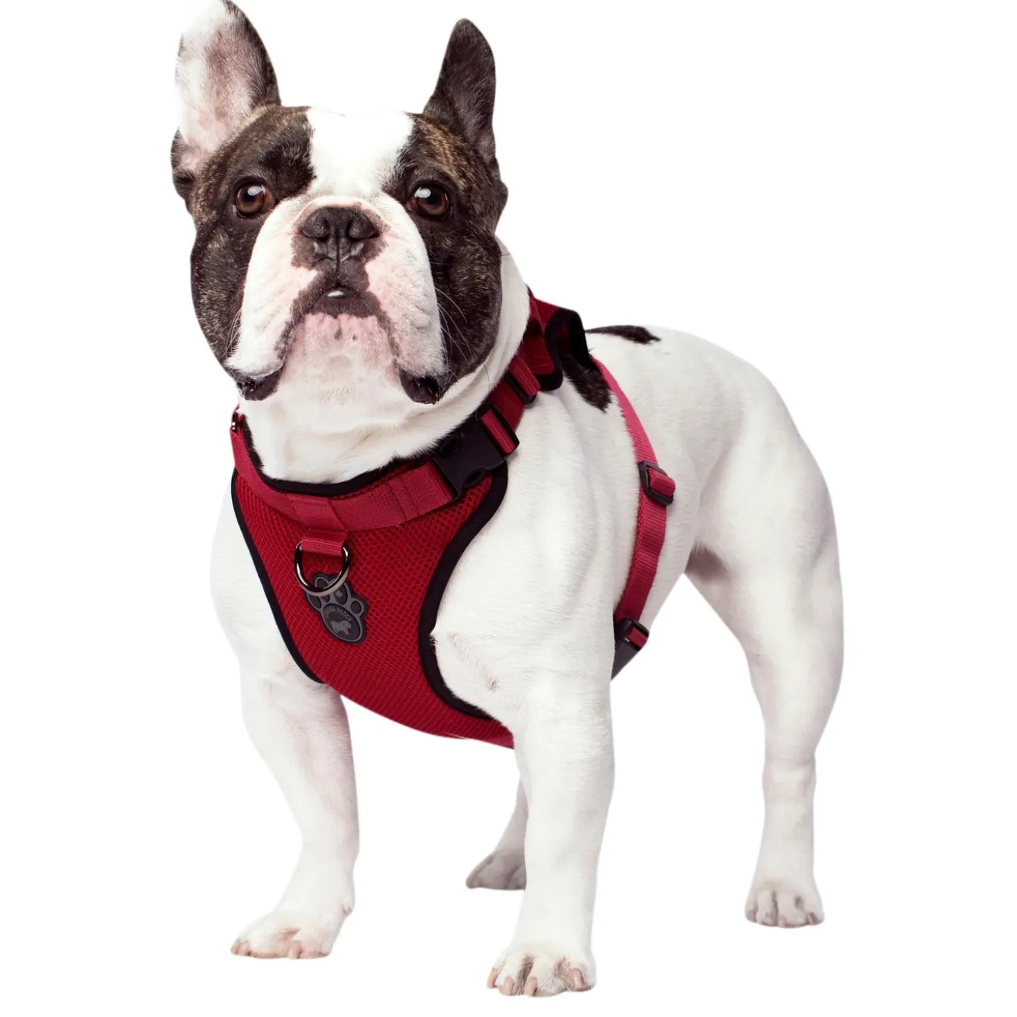 The Everything Mesh Harness Red