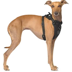 The Everything Mesh Harness Black